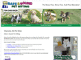 safeandsoundpetsitting.com