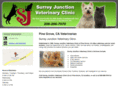 surreyjunctionvetclinic.com