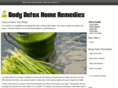 bodydetoxhomeremedy.com