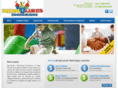 brincolineseconomicos.com