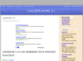 jailbreakme41.com