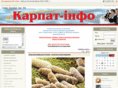 karpat-info.com