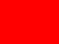 anaturon.es