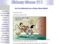 kidneystone911.com