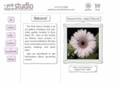 pinkstuccostudio.com