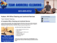 teamandreolicleaning.com