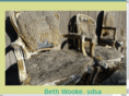 bethwooke.com