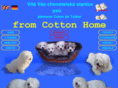 cotonhome.cz