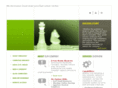 autinconsulting.com