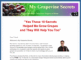 mygrapevinesecrets.com