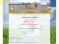 academiadetalentosfc.com
