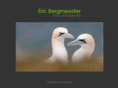 bergmeester.com