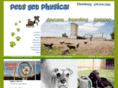 petsgetphysical.com