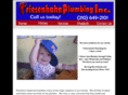 friesenhan.com