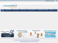 ingaugement.com