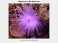 my-reef.com
