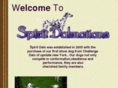 spiritdals.com