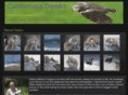 birdsbyme.com