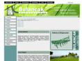 bulancaklimited.com