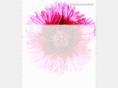 nice-energetics.com