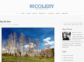 nicolesyinc.com