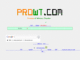 prowt.com