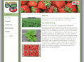 plantko.com