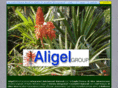 aligelgroup.com