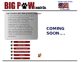 bigpawleash.com