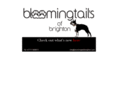 bloomingtailsbrighton.com