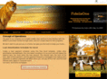 fidelisone.com