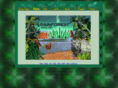 rainforesthouse.com