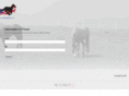unitedforhorses.org