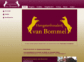 vbommel.com