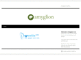 amyglion.com