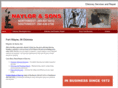 naylorandsonschimney.com