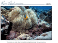 ecomocean.com