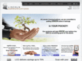 lincolncg.com