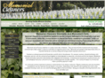memorialcleaners.com
