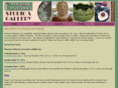 phoenixpotteries.com