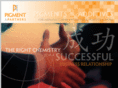 pigmentandpartners.com