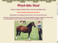 rhyd-ddu.com