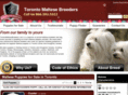 torontomaltesebreeders.com