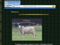 jtbrahmans.com