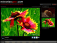 mirrorlesspro.com