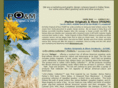 pomore.com