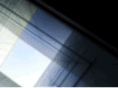 scottsdalewholesaleauto.com