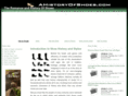 ahistoryofshoes.com