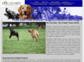 dogguardofsuncoast.com