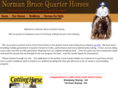 nbrucequarterhorses.com